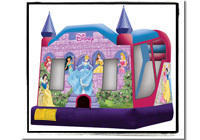 Disney Princess Slide Combo DRY Disney Princess Slide Combo DRY
